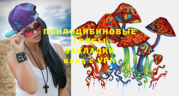 СК Алексеевка