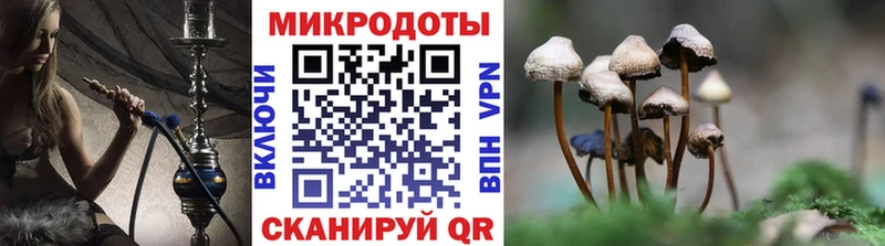 Галлюциногенные грибы GOLDEN TEACHER хочу Сольцы